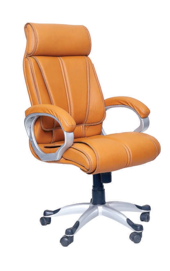 Tan Leather Director's Chair