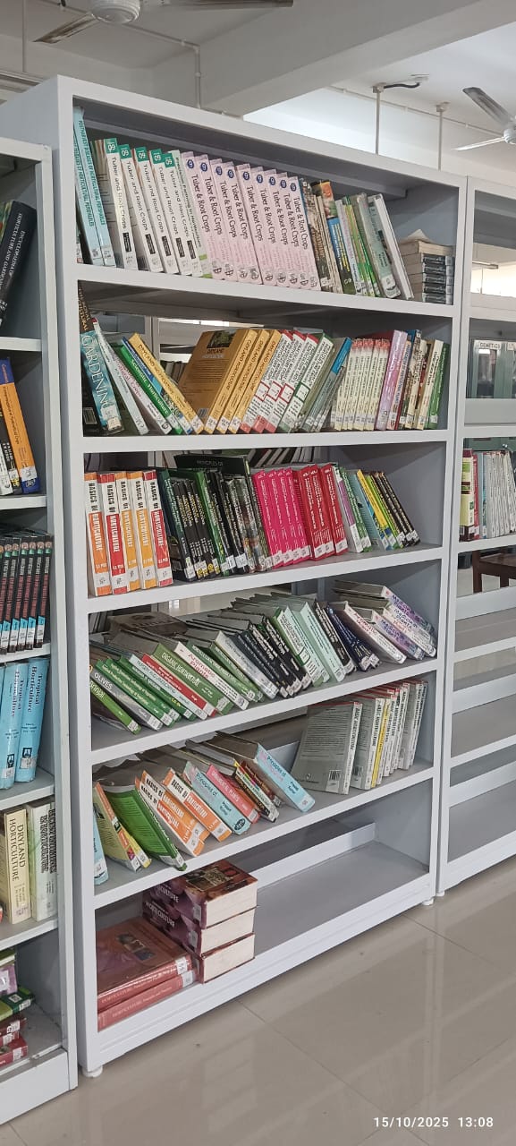 Double Sided Library Storage Rack for Schools